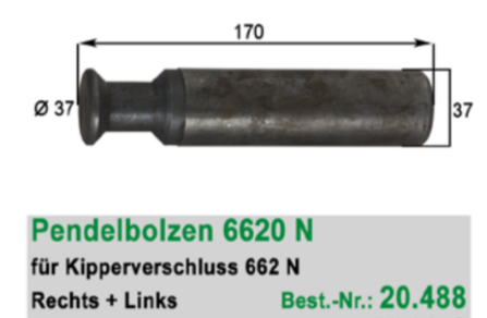 Pendelbolzen 6620 N